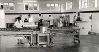 Nelsons Pie Factory, Alma Place
